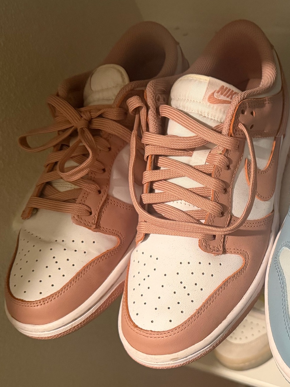 Nike Women's dunks